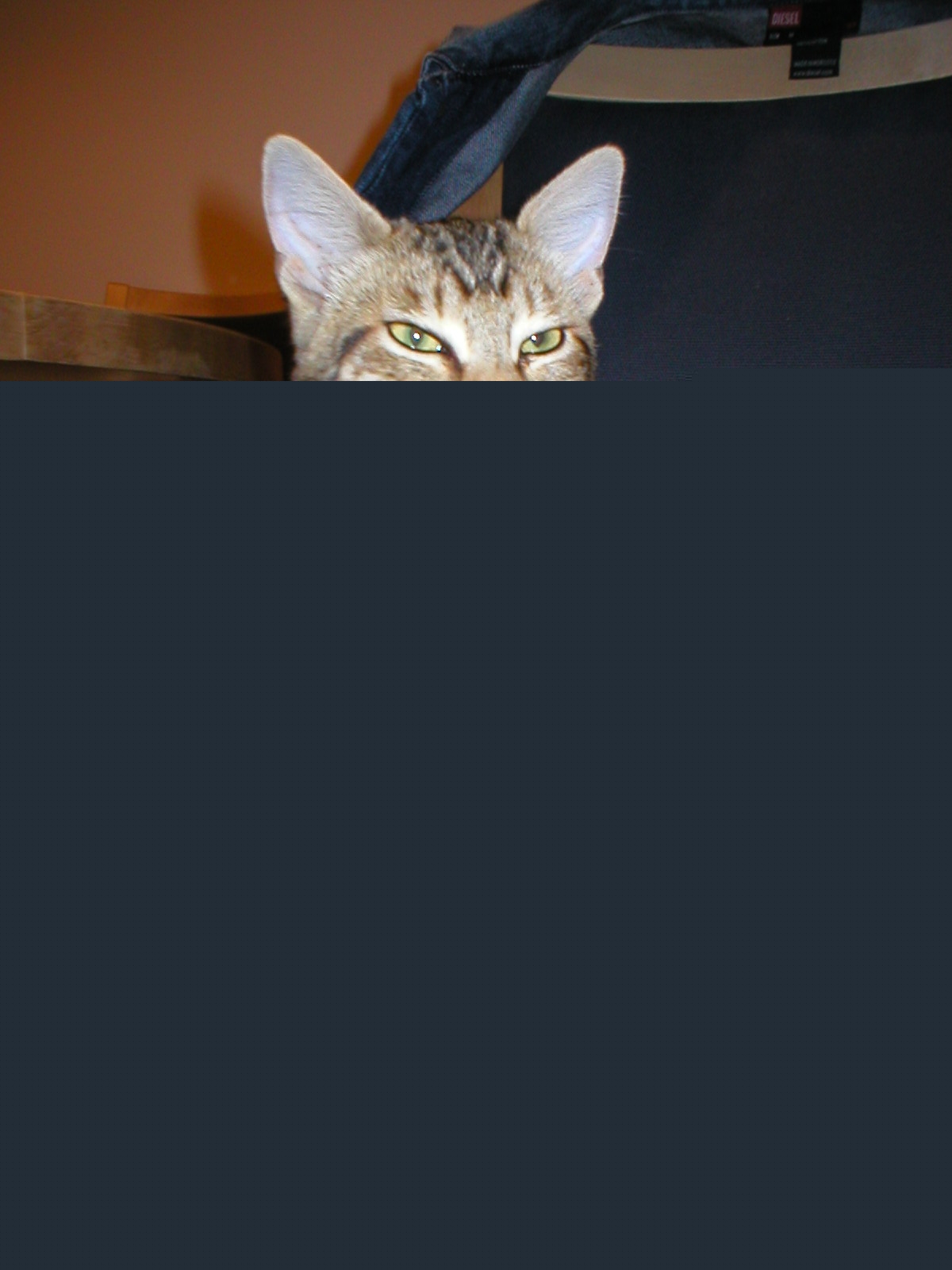 P1010510
