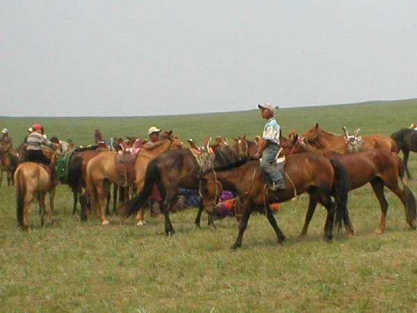 P1010295