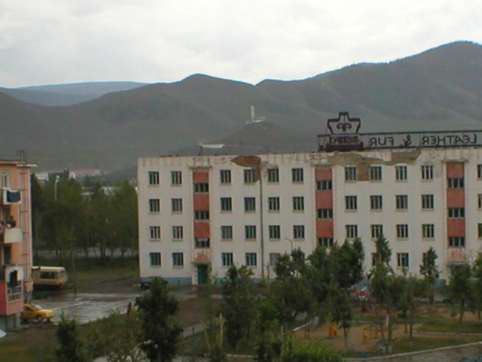 P1010009
